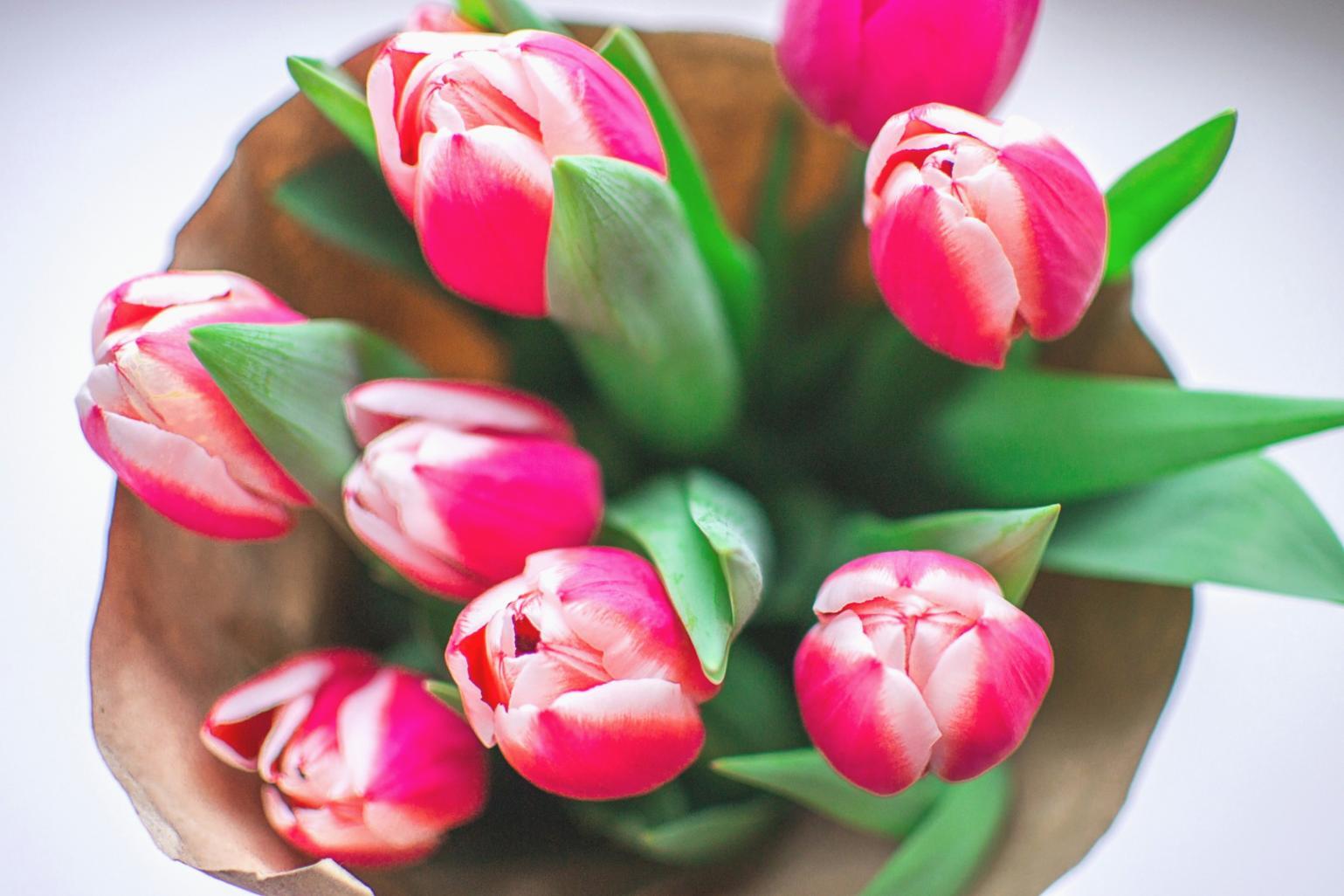 Consultation session showing personalized flower care assessment